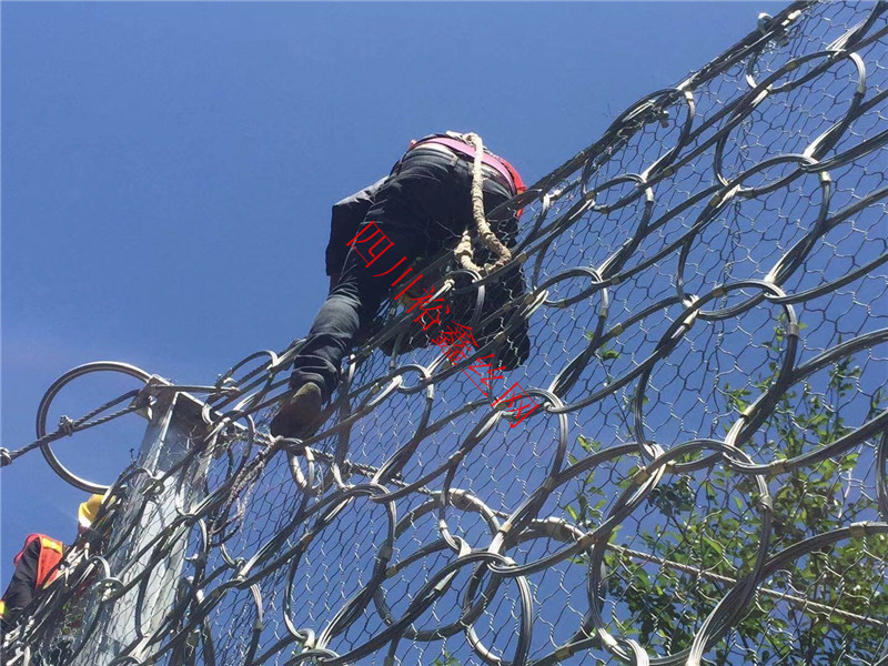 邊坡防護(hù)網(wǎng)